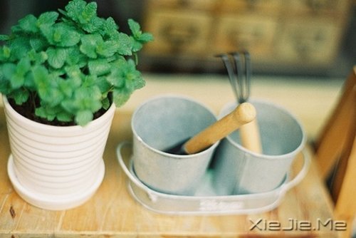 浮生若梦，浮尘如空 (5)