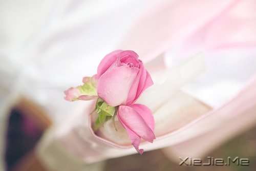 一心一意，是世界上最温柔的力量 (5)