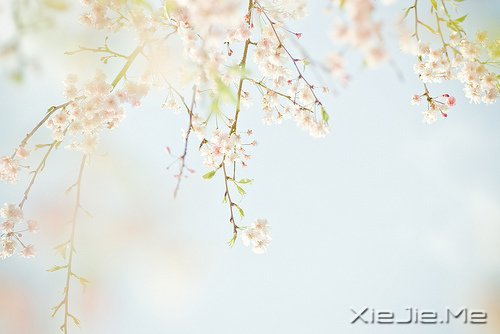 一心一意，是世界上最温柔的力量 (7)