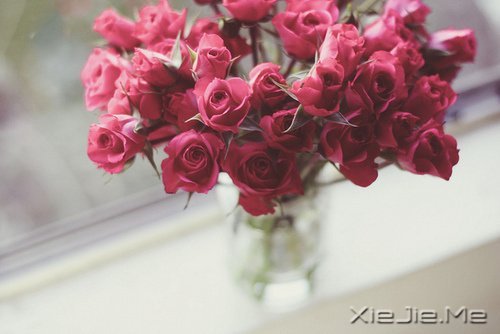 人生旅途，花香满径 (9)
