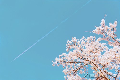 童心未泯，是一件值得骄傲的事情 (10)
