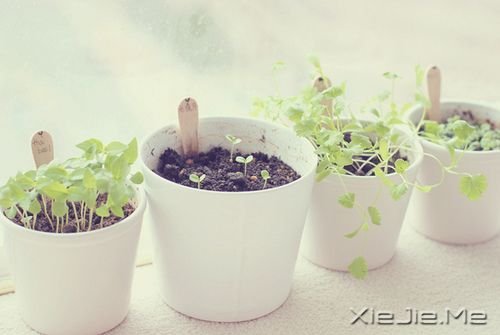 早安心语：看清自己比读懂他人，更重要 (10)