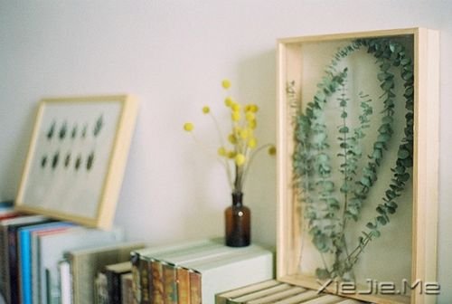 早安心语：坚毅的人总会出头 (7)