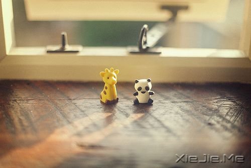早安心语：坚毅的人总会出头 (9)