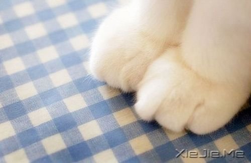 给时间一点时间，一切都会过去 (5)