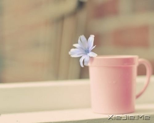 我们都一样，各自有光芒 (2)