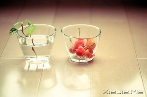 我们都一样，各自有光芒 (5)