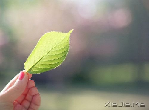 我们都一样，各自有光芒 (9)
