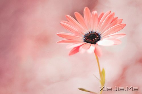 珍惜你身边，那真实的温柔