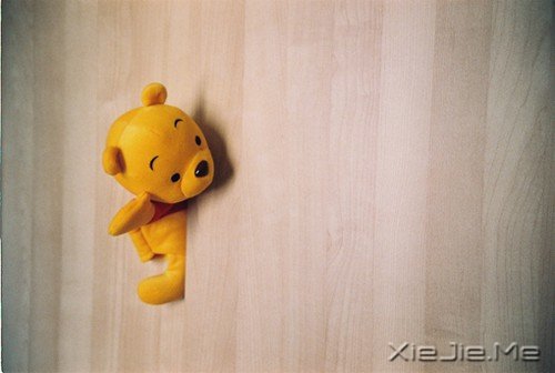 做一个最单纯的人，走一段最幸福的路